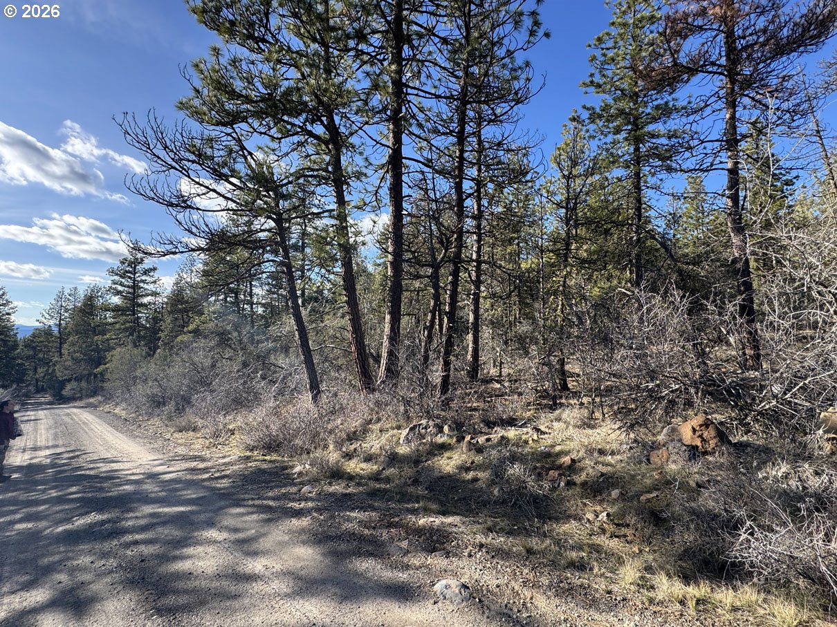 Badger Lane Bonanza, OR 97623 - Photo 1 of 33