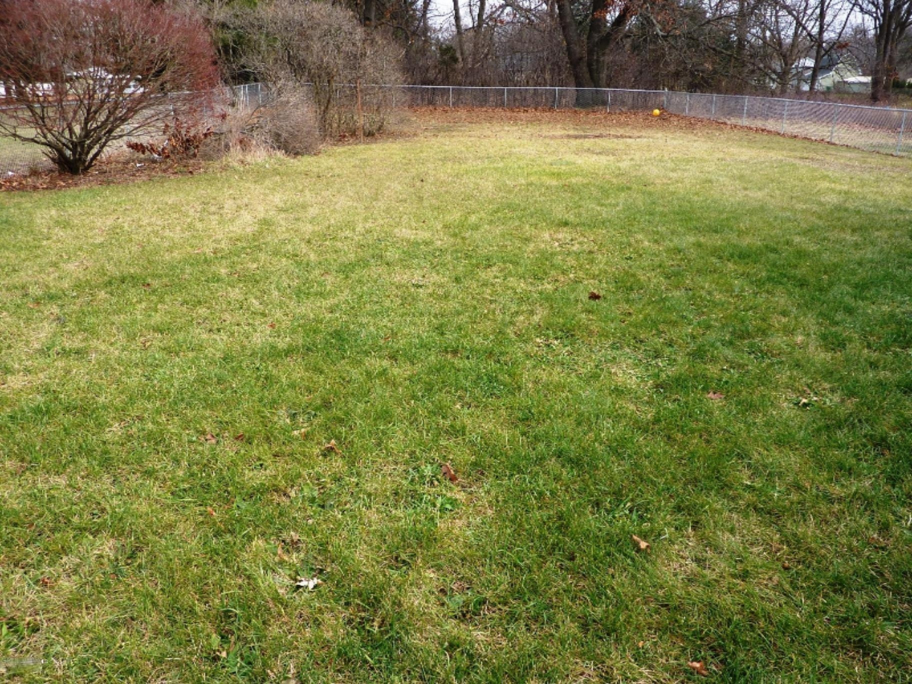 410 North 34th Street Springfield, MI 49037 - Photo 16 of 18 Back yard