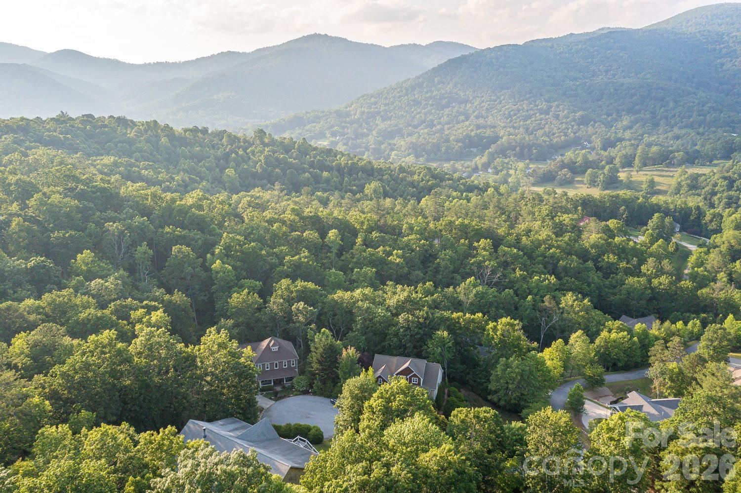 6 Grouse Terrace Fairview, NC 28730 - Photo 31 of 46 a view of a forest with mountains in the background