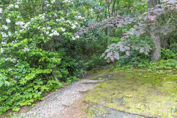 $1,075,000 | 6 Grouse Terrace, Fairview, NC 28730