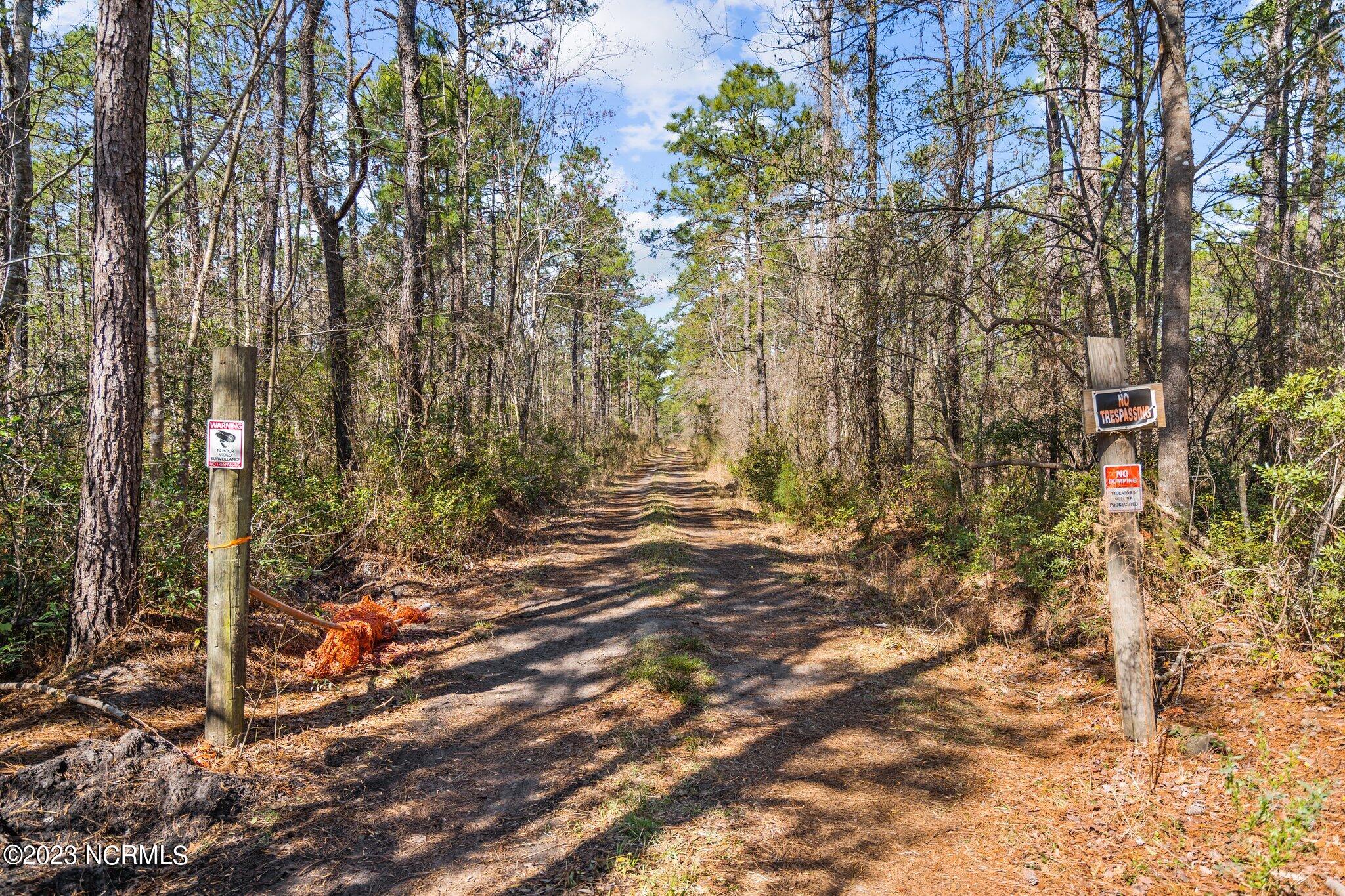 Lot222-232 Plantation Road Wilmington, NC 28411 - Photo 8 of 12 8-web-or-mls-DSC08708