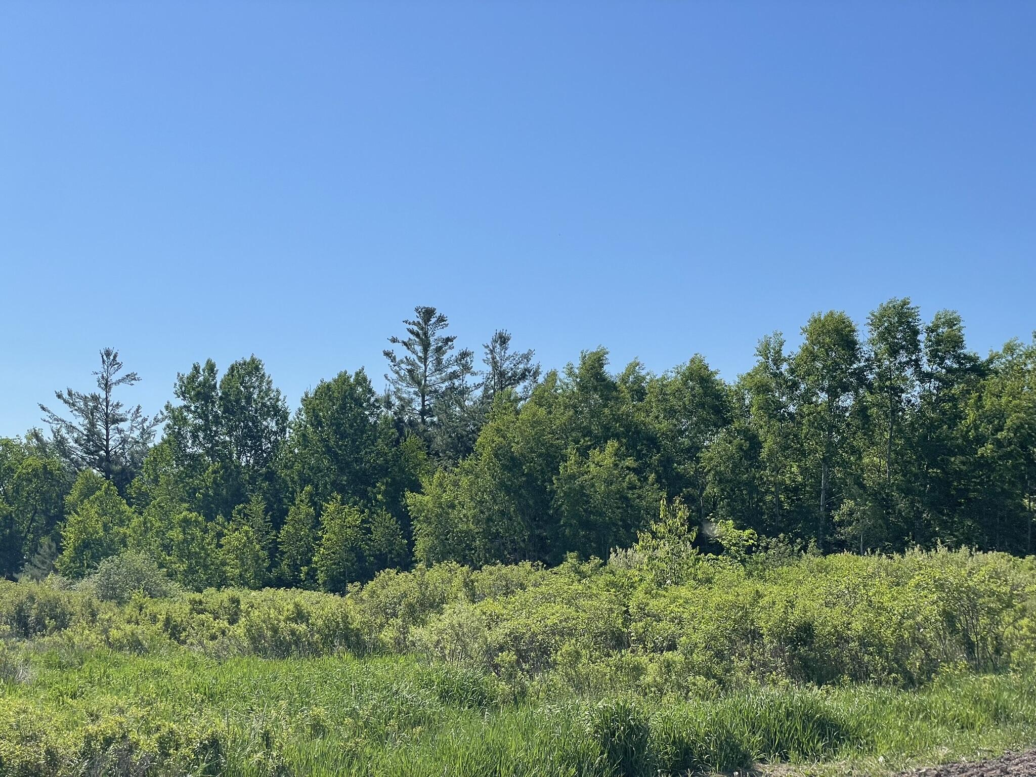 V/l Clareola Road Marion, MI 49665 - Photo 6 of 20 IMG_3554