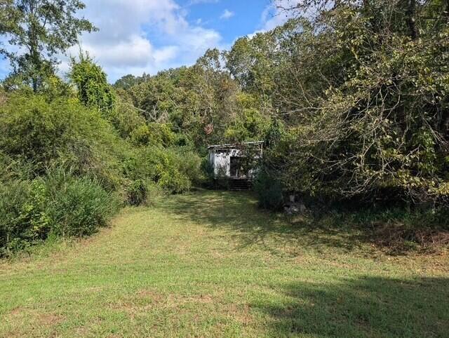 6158 Hunter Road Ooltewah, TN 37363 - Photo 16 of 16 Back Yard 2