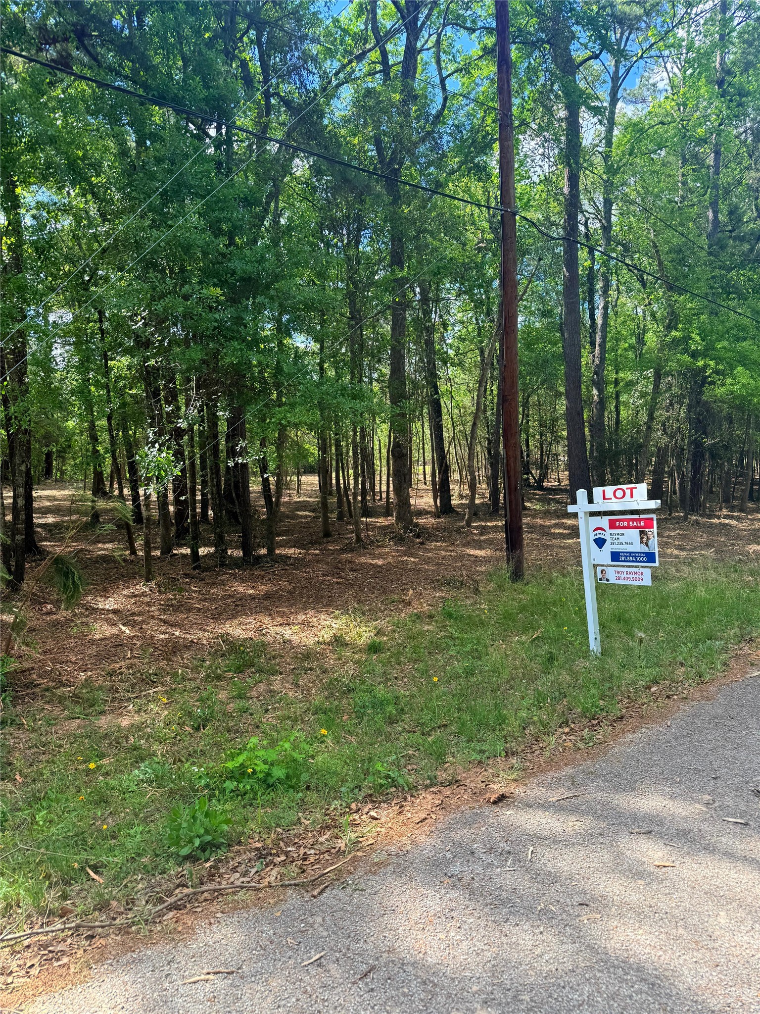 0 Daniel Street Magnolia, TX 77354 - Photo 2 of 14