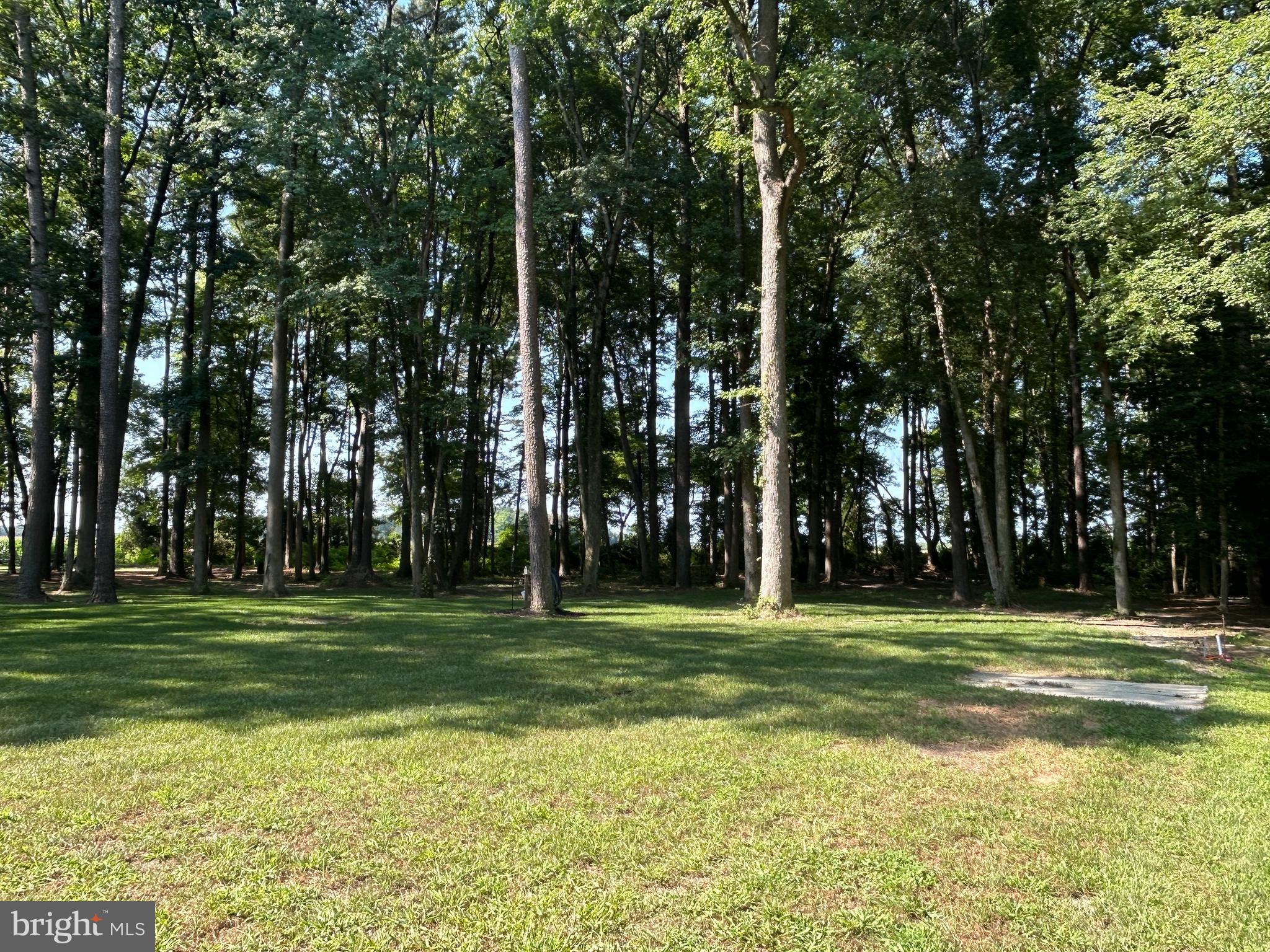 27002 Kaye Road Laurel, DE 19956 - Photo 50 of 64 a grassy field with trees in the background