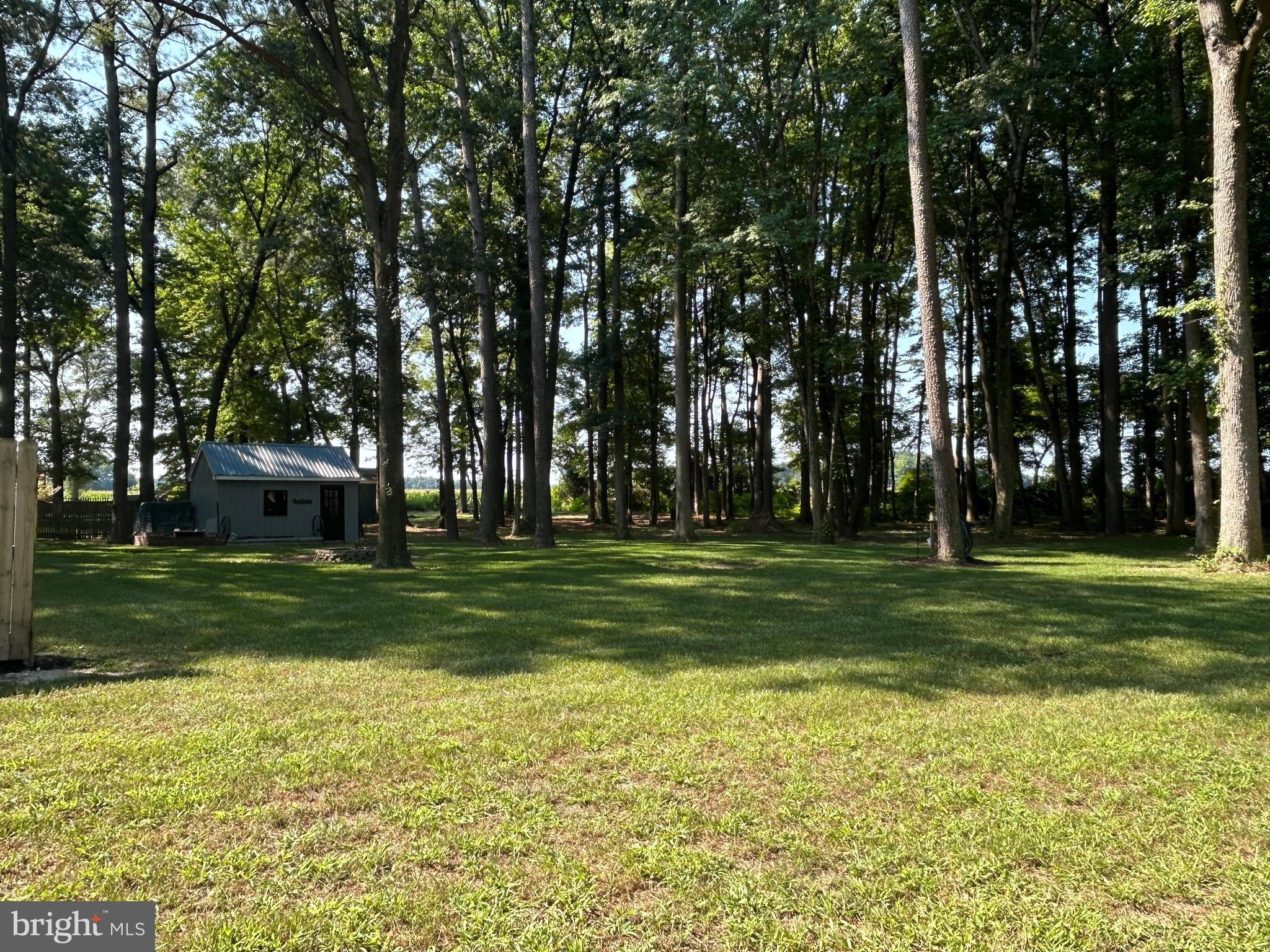 27002 Kaye Road Laurel, DE 19956 - Photo 51 of 64 Clean out the brush or not... you choose!
