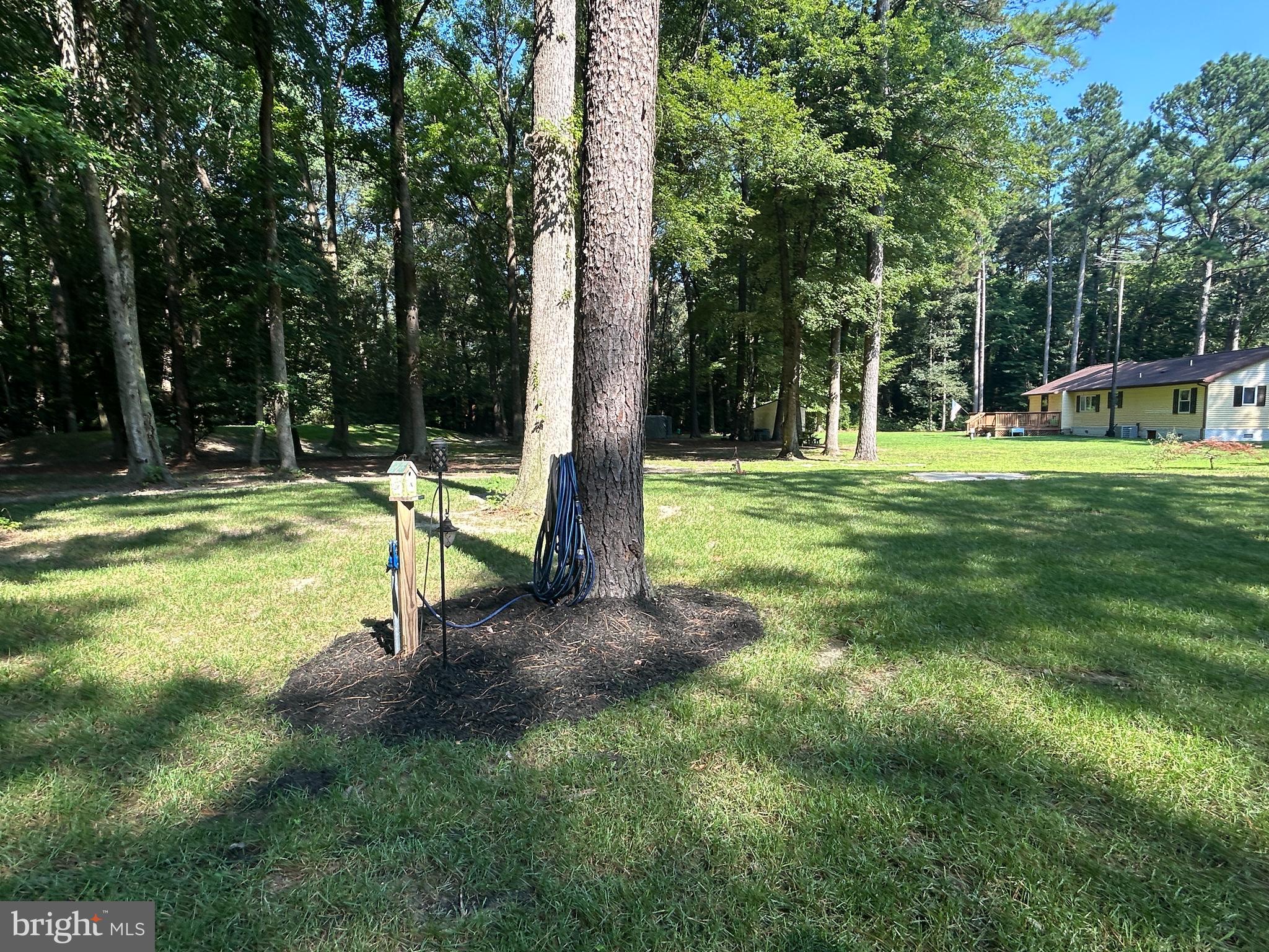 27002 Kaye Road Laurel, DE 19956 - Photo 52 of 64 a view of a park with a slide