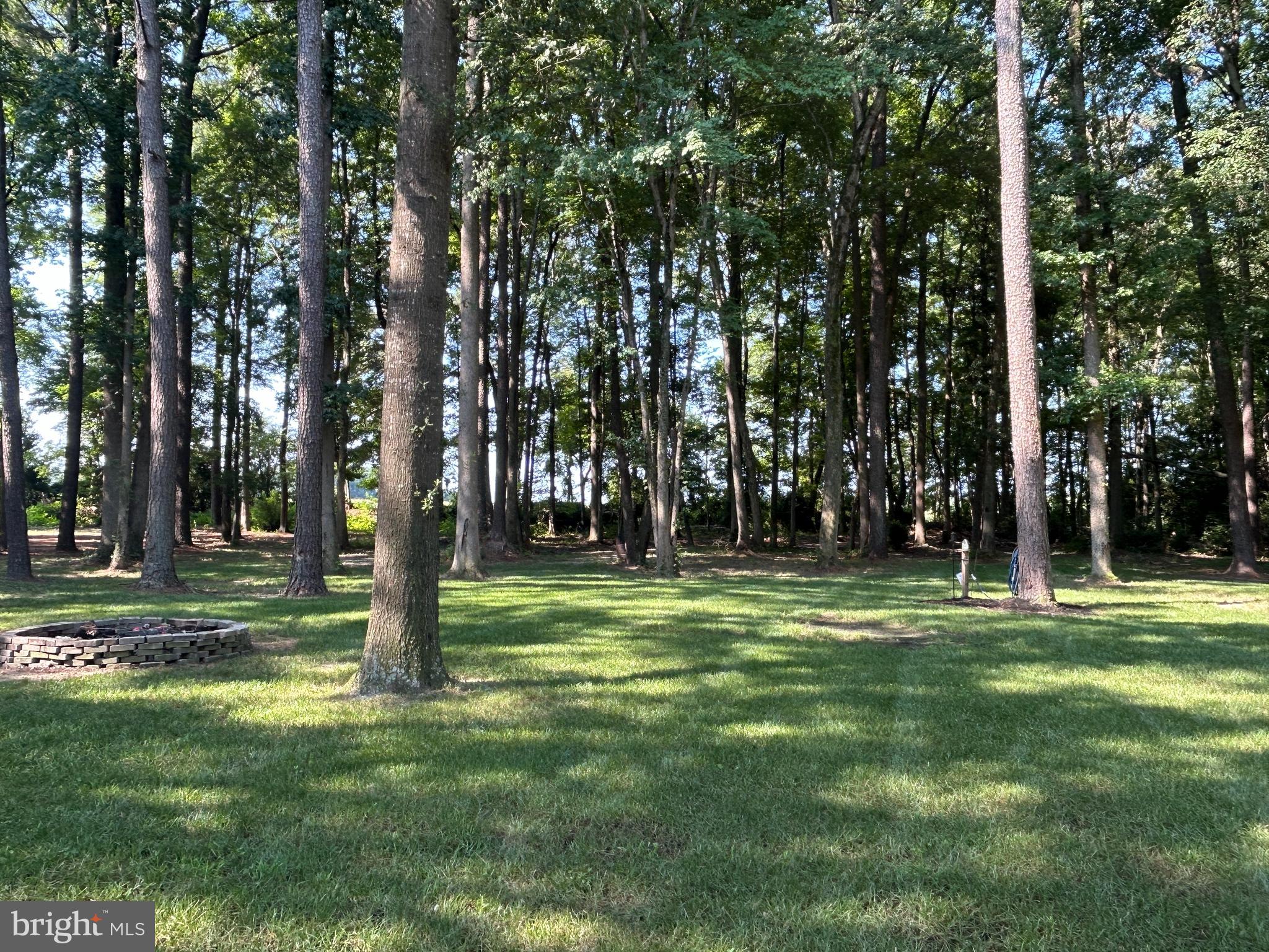 27002 Kaye Road Laurel, DE 19956 - Photo 53 of 64 Room for a Pole Building, if desired!