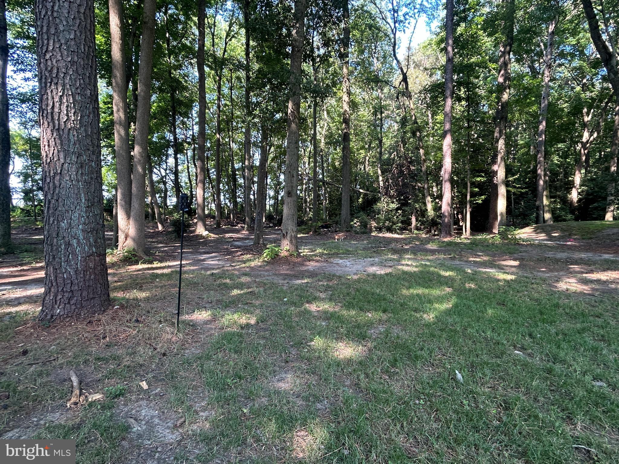 27002 Kaye Road Laurel, DE 19956 - Photo 54 of 64 a view of outdoor space with trees