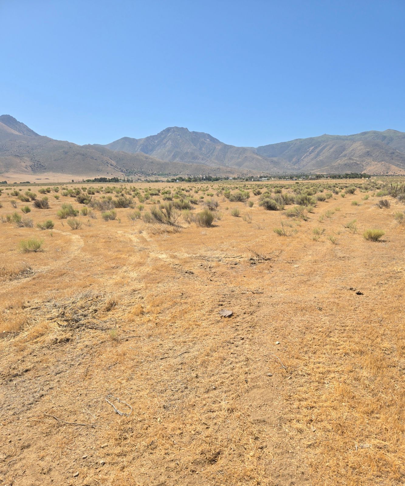 426-390-09 Lakeview Road Weldon, CA 93283 - Photo 6 of 7