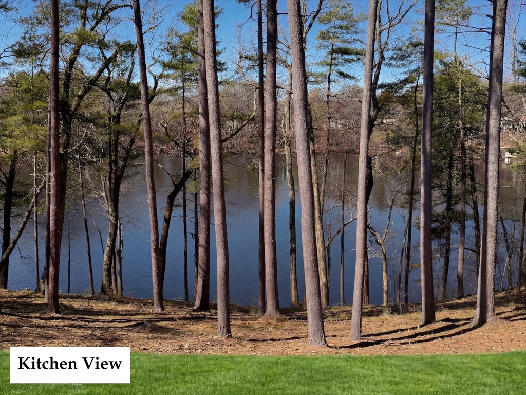 31 Arcadia Road Natick, MA 01760 - Photo 7 of 20 a view of a door with a tree