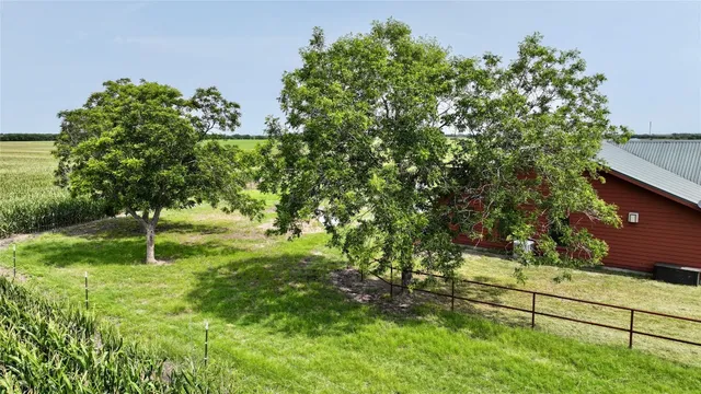 a view of a garden with a tree