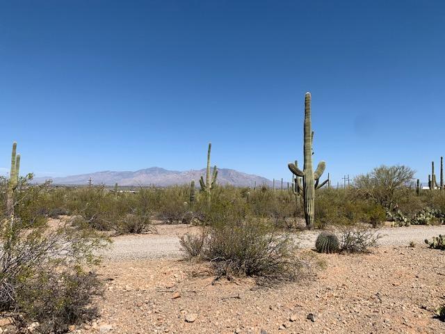 7089 West Ina Road, Unit 2 Tucson, AZ 85743 - Photo 12 of 12