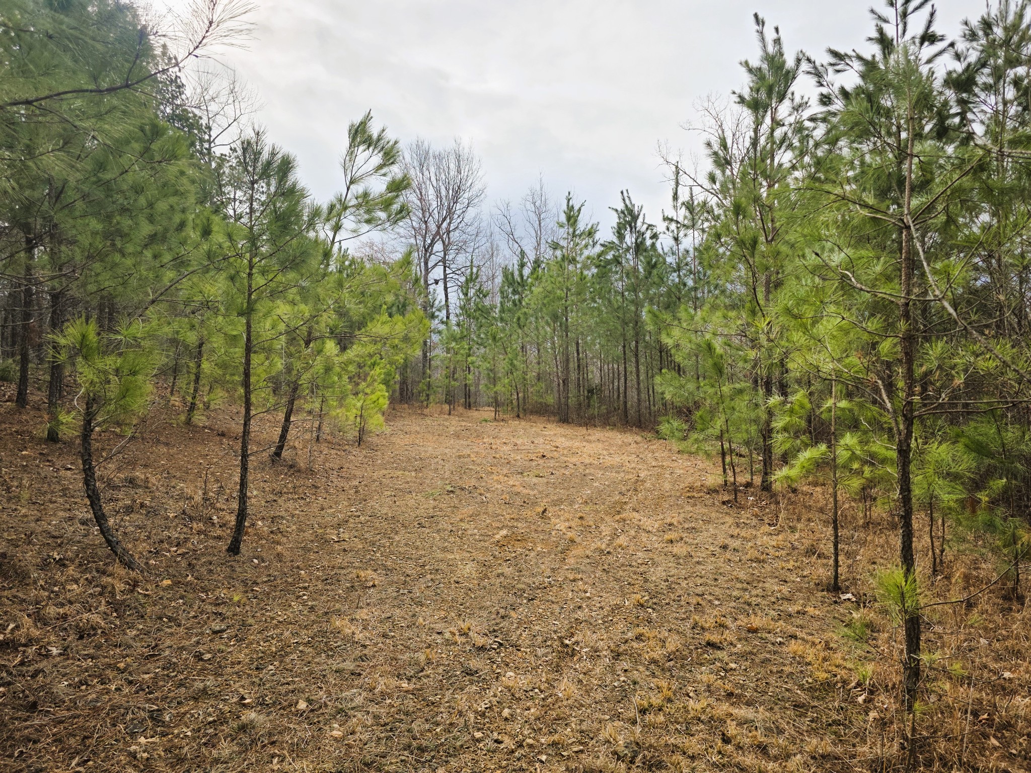 0 Birdsong Road Holladay, TN 38341 - Photo 60 of 70