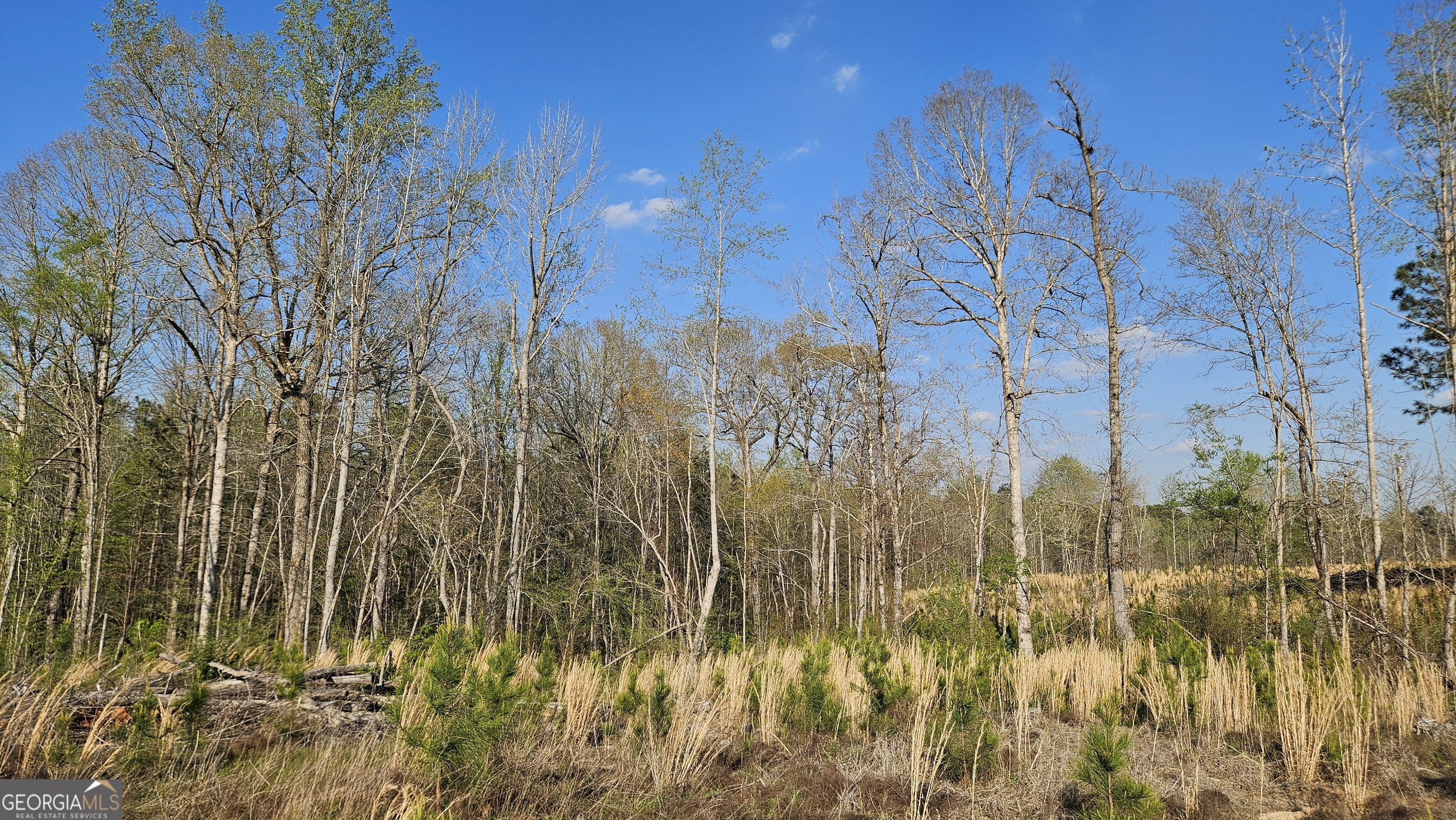 0 Shiloh Road Greensboro, GA 30642 - Photo 6 of 11 a view of residential houses with trees