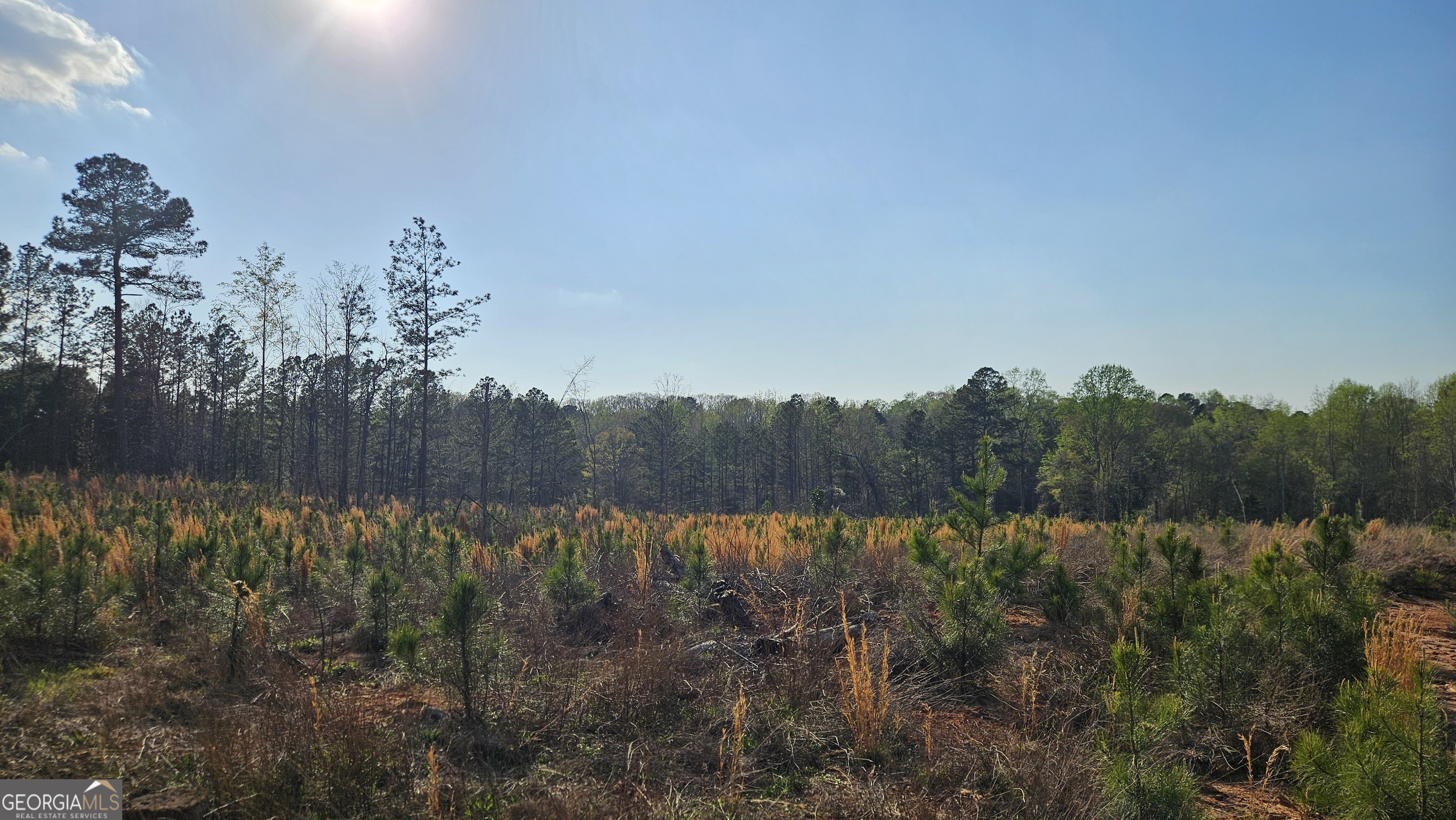 0 Shiloh Road Greensboro, GA 30642 - Photo 7 of 11 a view of a green field