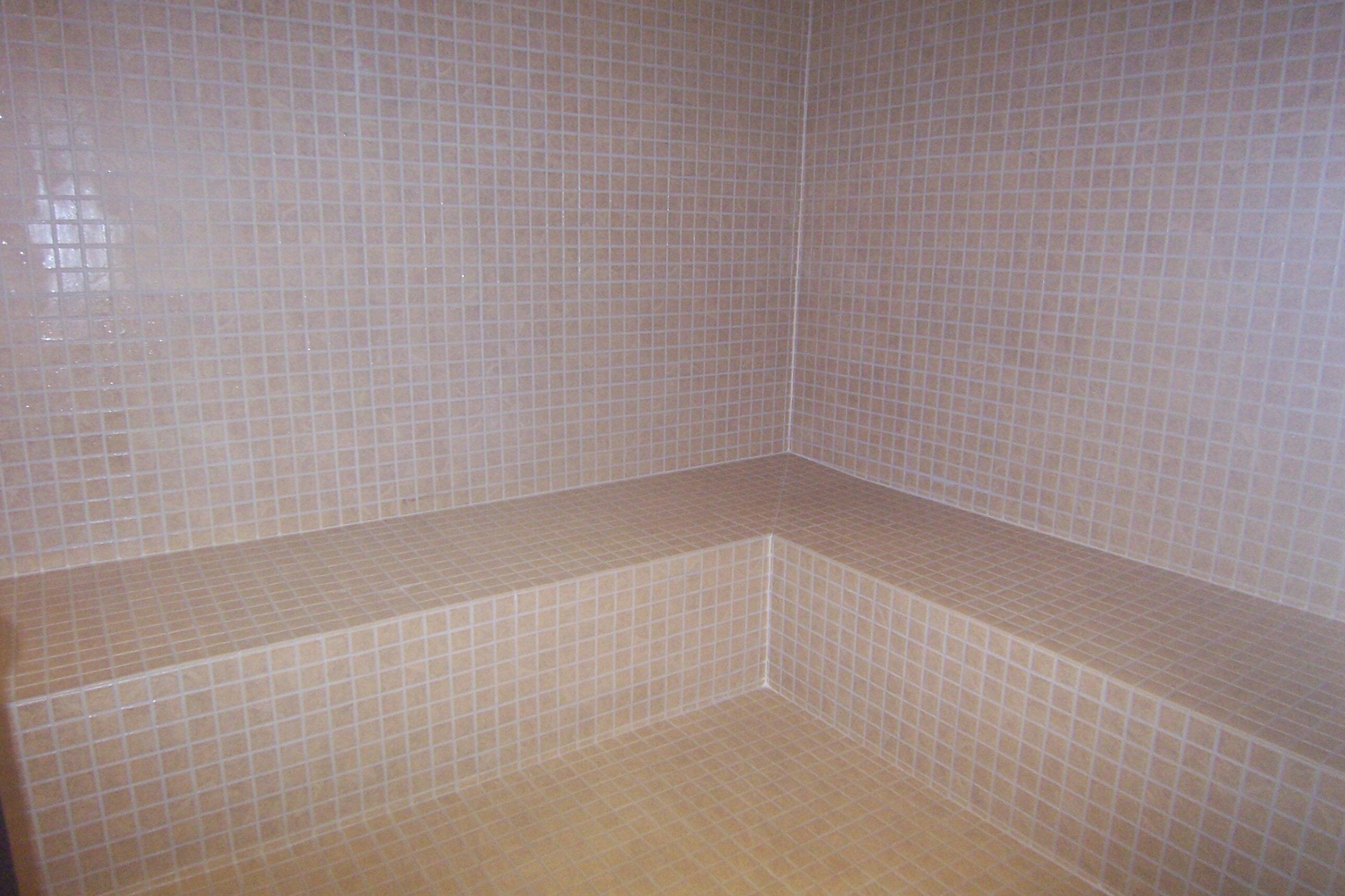 107 Brookberry Road, Unit LOT 190 Oak Ridge, TN 37830 - Photo 22 of 29 45 Steam Room