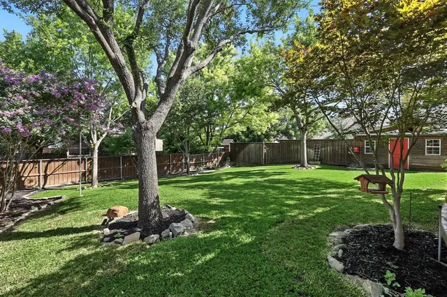 a view of a backyard with large tree