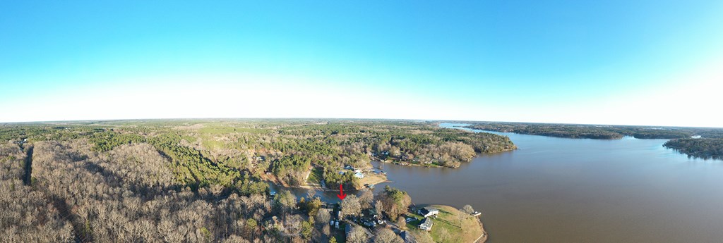 233 Lake Overlook Road Waterloo, SC 29384 - Photo 41 of 49