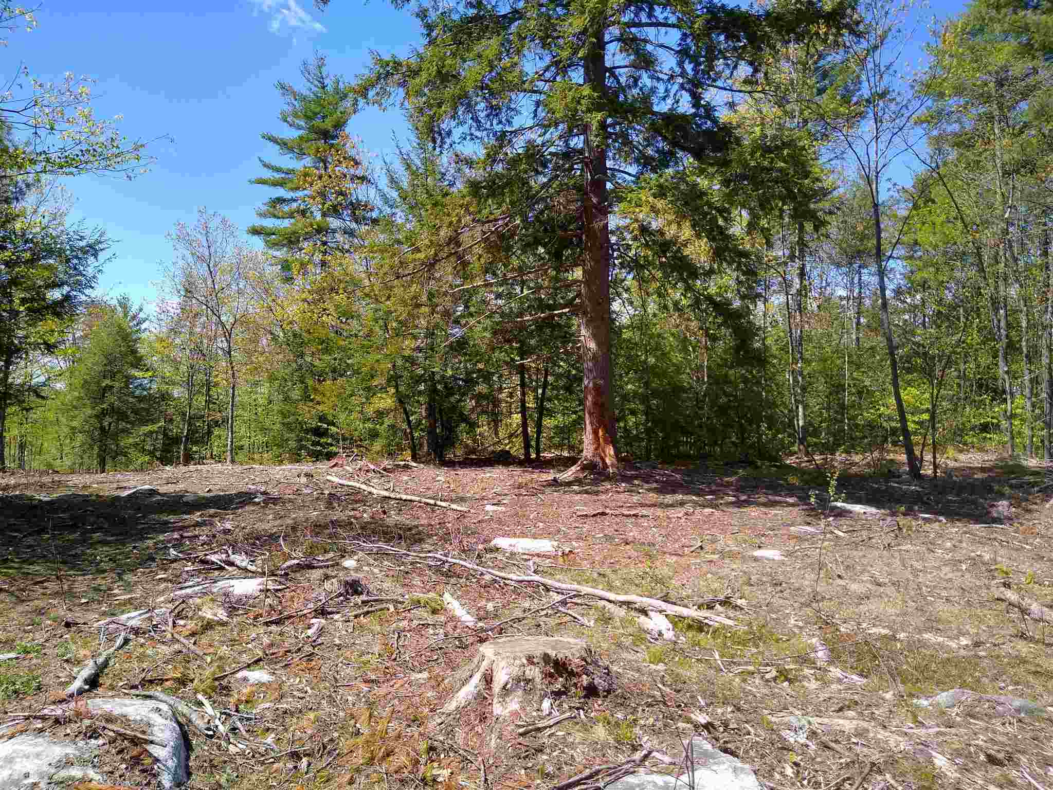 81 Diamond Hill Road Candia, NH 03034 - Photo 5 of 14
