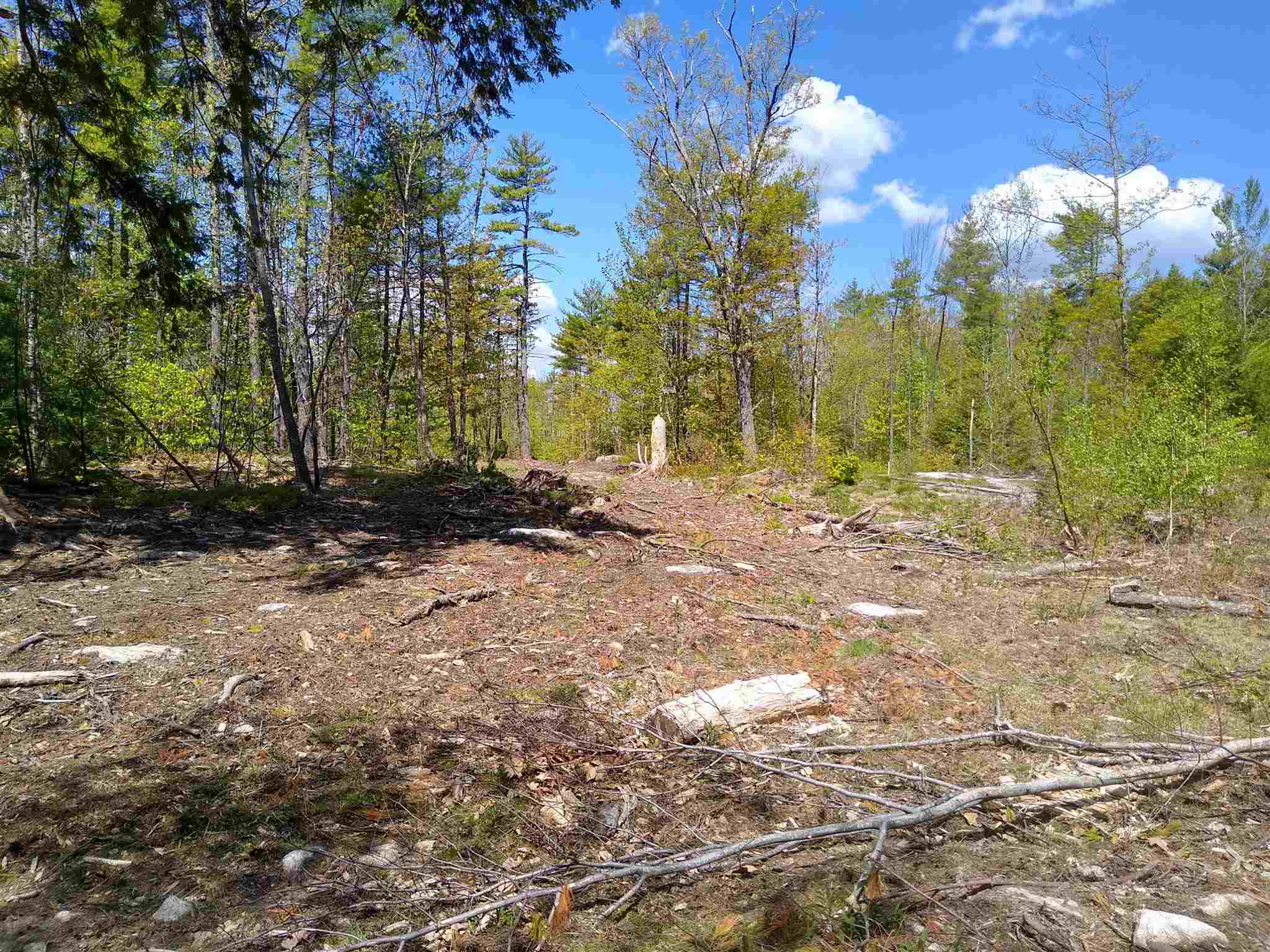 81 Diamond Hill Road Candia, NH 03034 - Photo 6 of 14