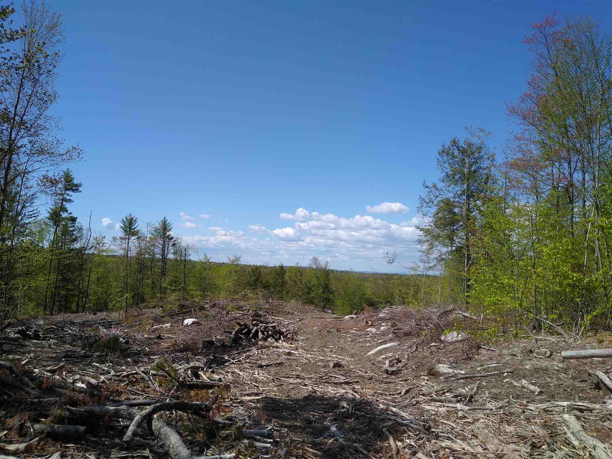 81 Diamond Hill Road Candia, NH 03034 - Photo 8 of 14