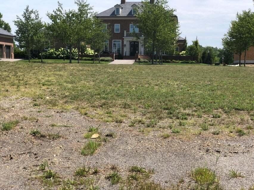 3945 Ebrington Road New Albany, OH 43054 - Photo 3 of 4 20240715180705999387000000-o