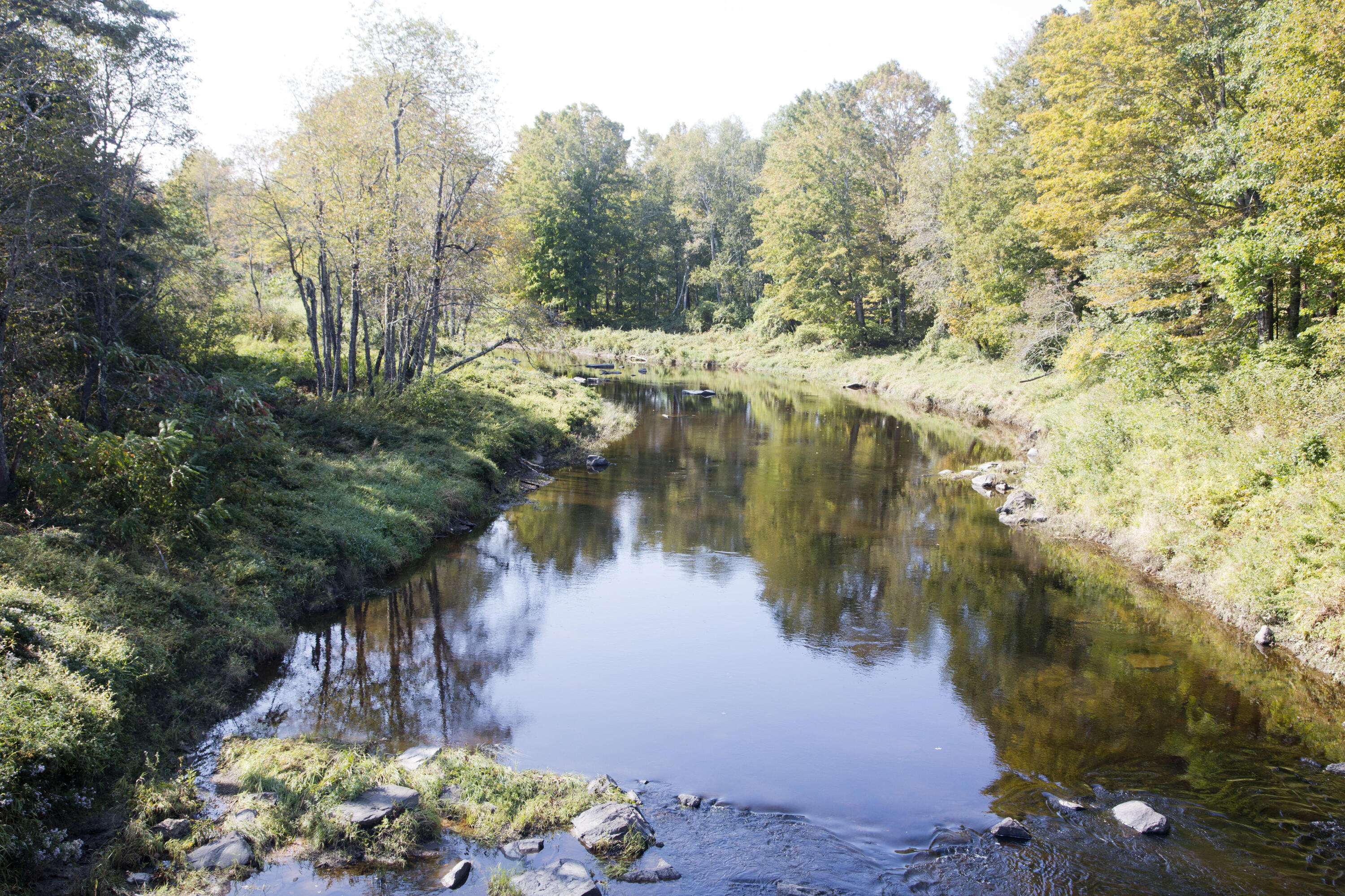 Map4-lot12 Marsh Stream Road Frankfort, ME 04438 - Photo 10 of 23 Across the street