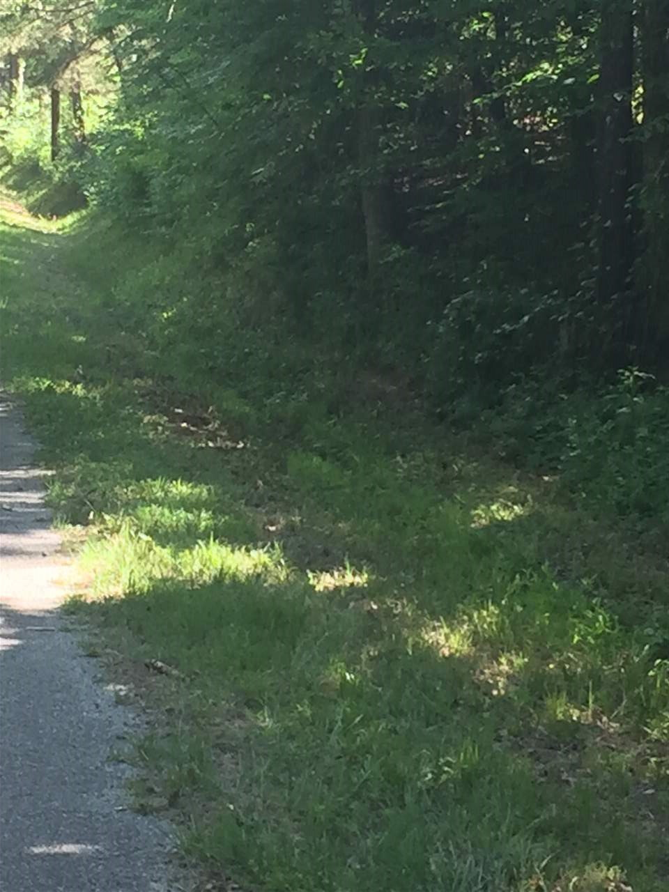 0 East Barnes Road Canton, MS 39046 - Photo 2 of 8 Photo 2