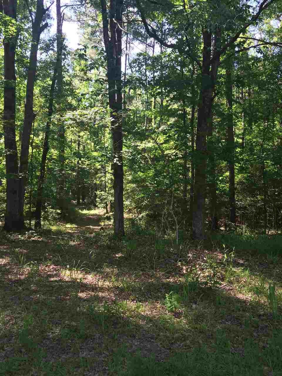 0 East Barnes Road Canton, MS 39046 - Photo 3 of 8 Photo 3