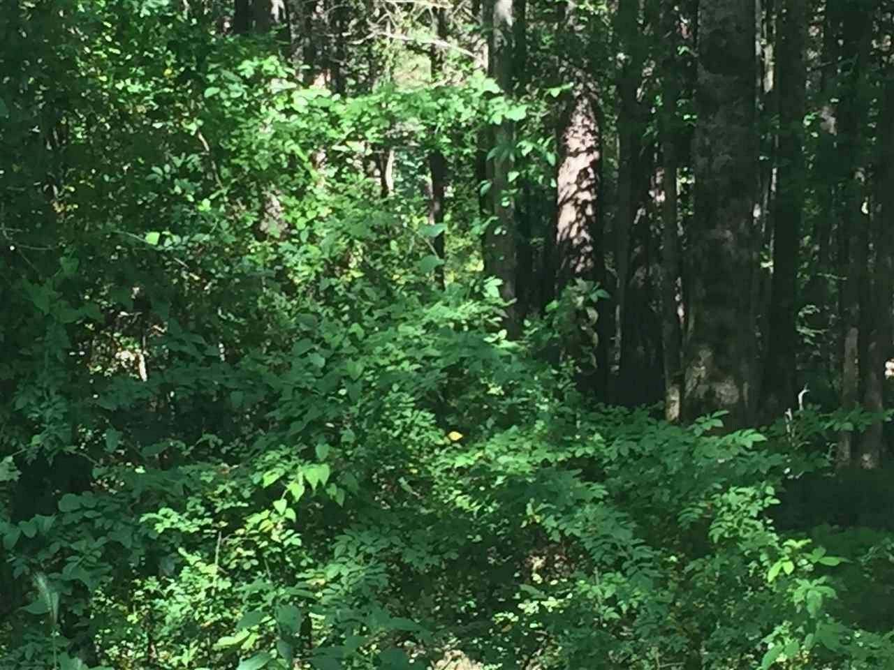 0 East Barnes Road Canton, MS 39046 - Photo 6 of 8 Photo 6