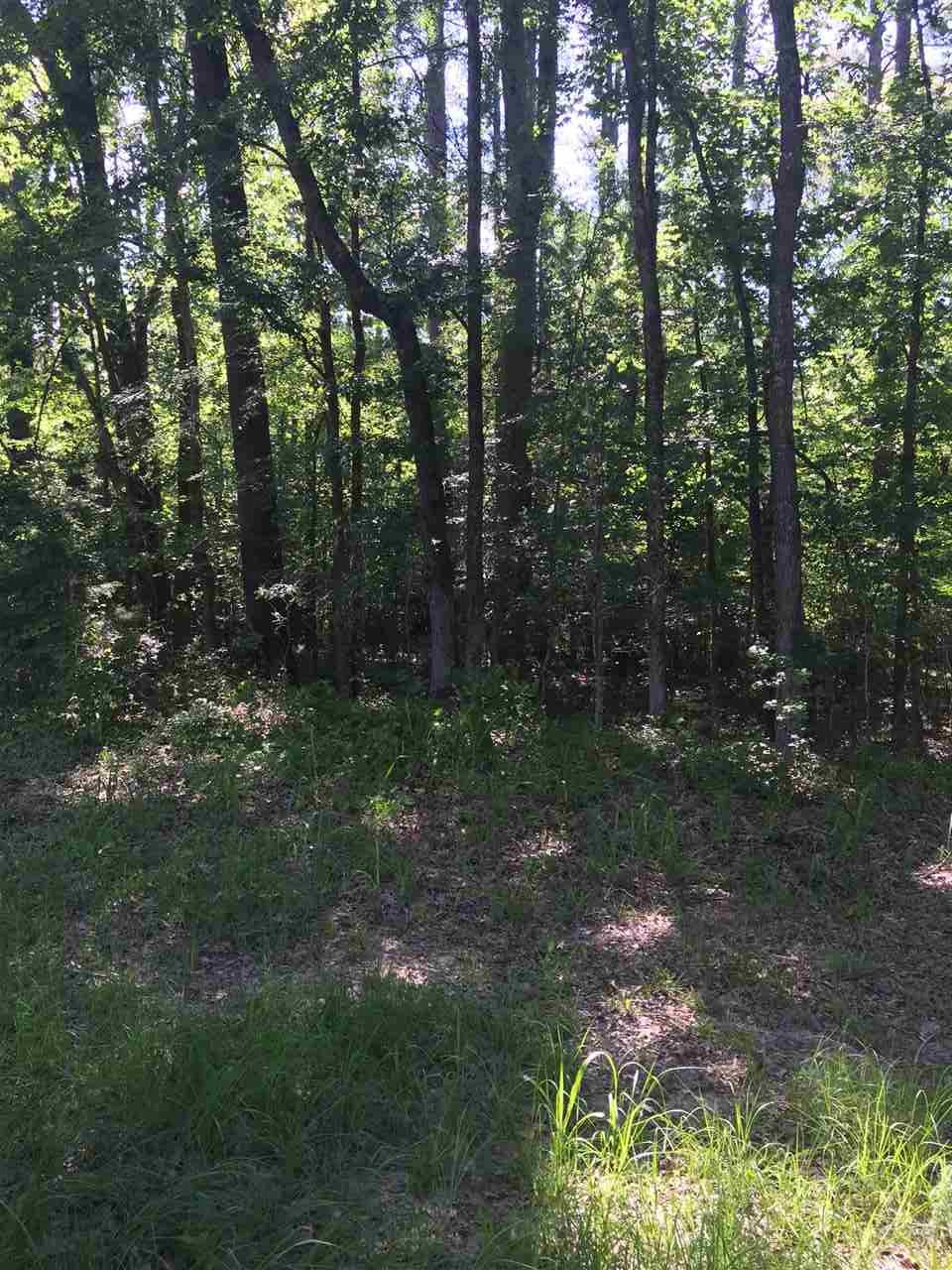 0 East Barnes Road Canton, MS 39046 - Photo 8 of 8 Photo 8