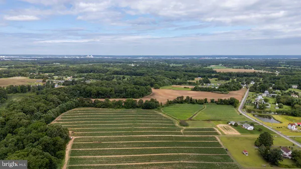 an aerial view of a tennis ground and large trees