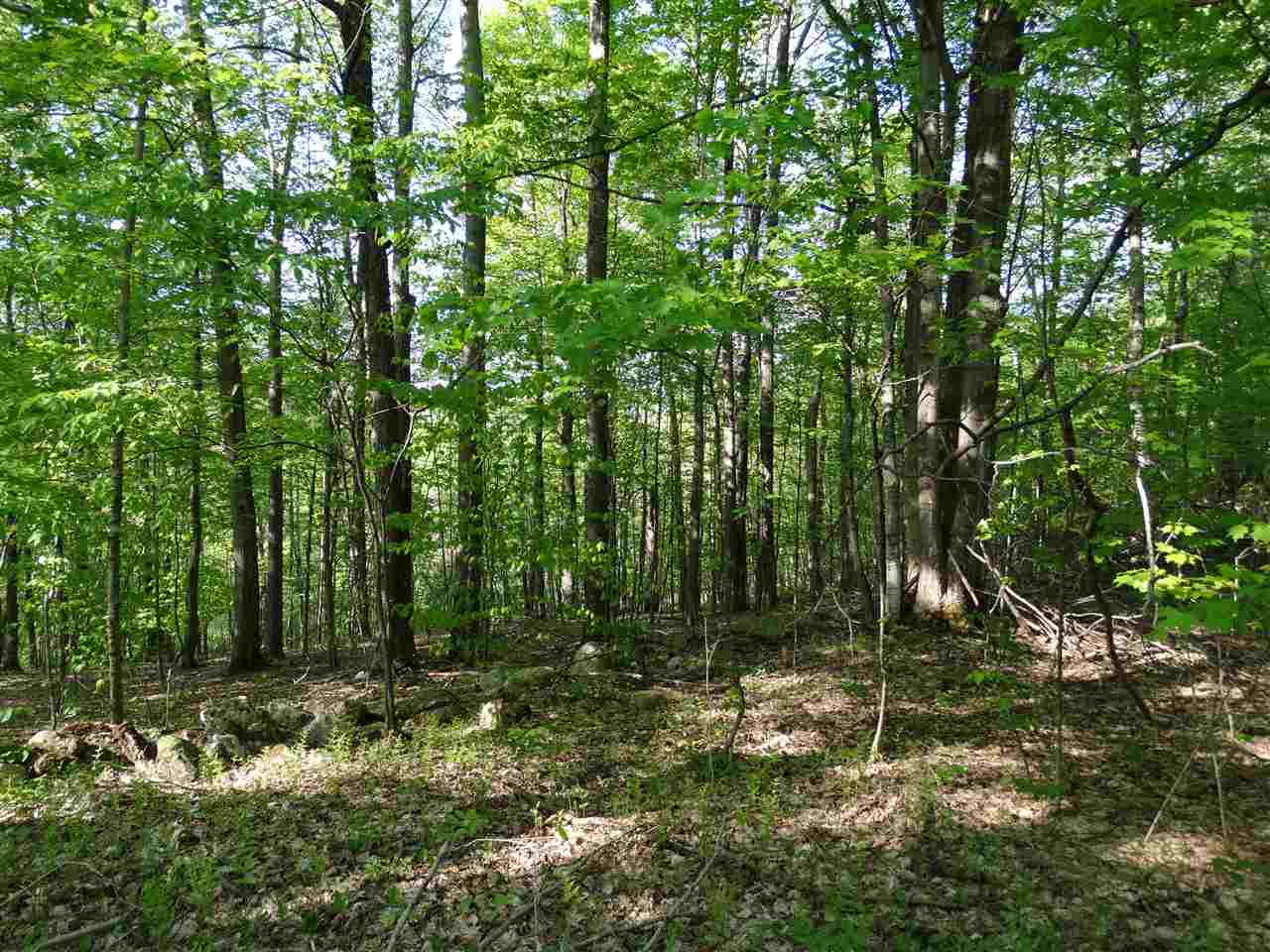 Danby Mountain Road Dorset, VT 05251 - Photo 1 of 3 Gallery Image 1