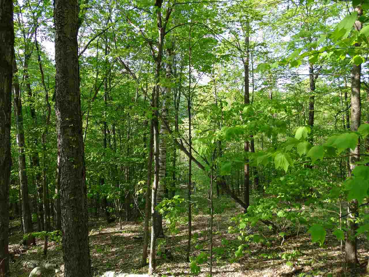 Danby Mountain Road Dorset, VT 05251 - Photo 3 of 3 Gallery Image 3