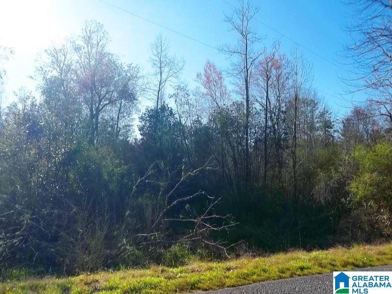 Big Springs Road, Unit 28 Ashland, AL 36251 - Photo 5 of 8