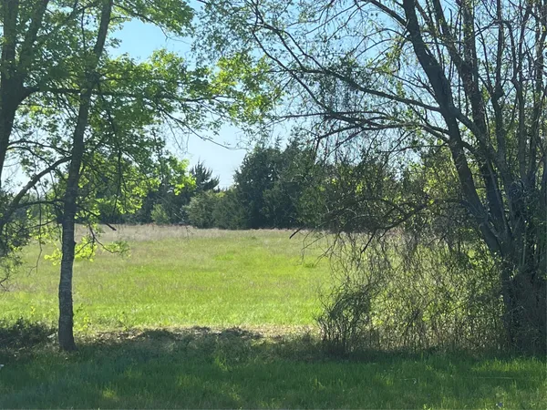 a view of a field with an trees