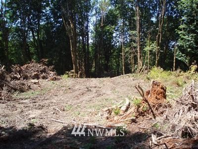 22210 Zenkner Valley Road Centralia, WA 98531 - Photo 1 of 1 Gallery Image 1