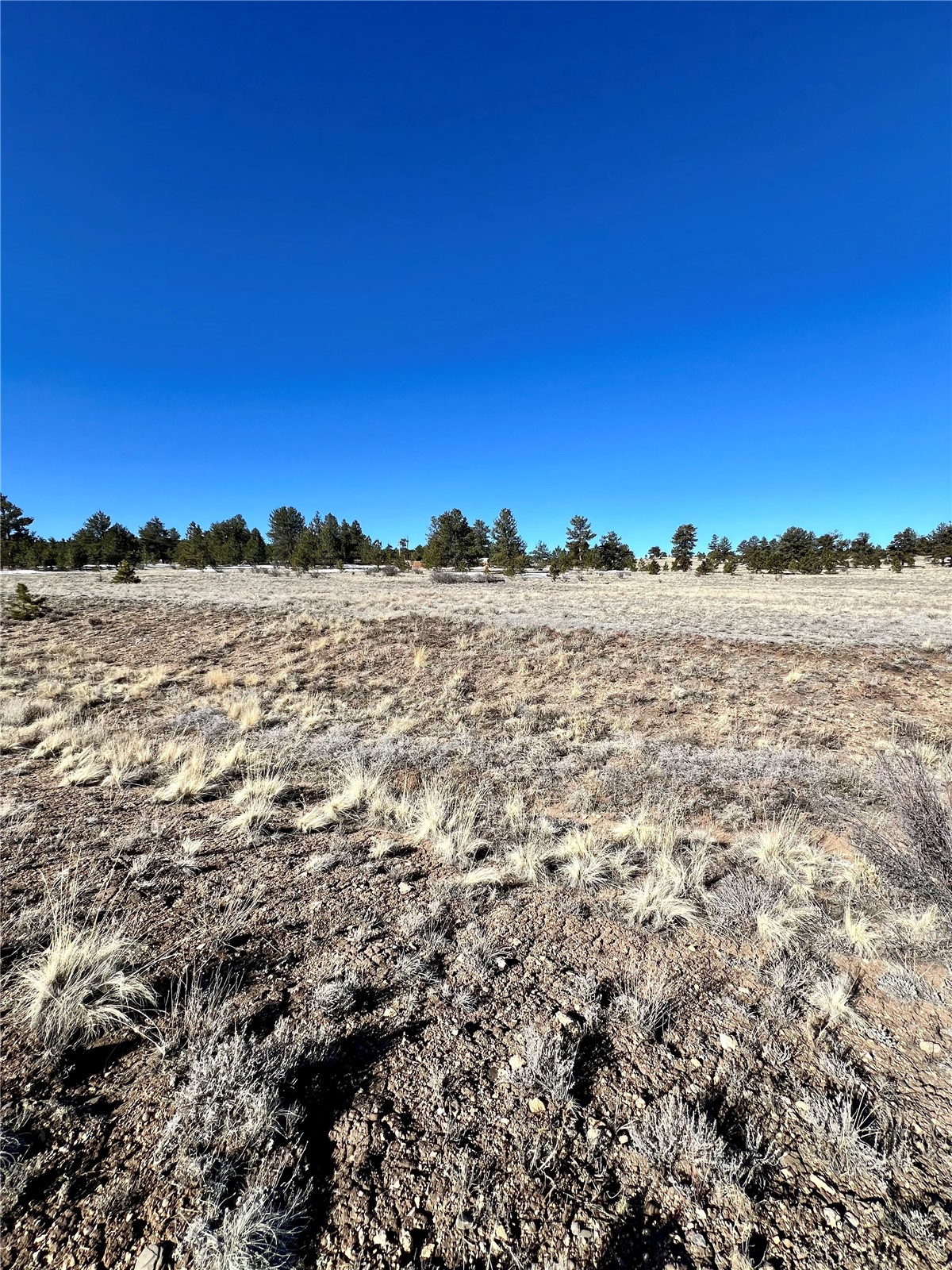 Tbd Chickasaw Road Hartsel, CO 80449 - Photo 19 of 23 View of landscape featuring a rural view