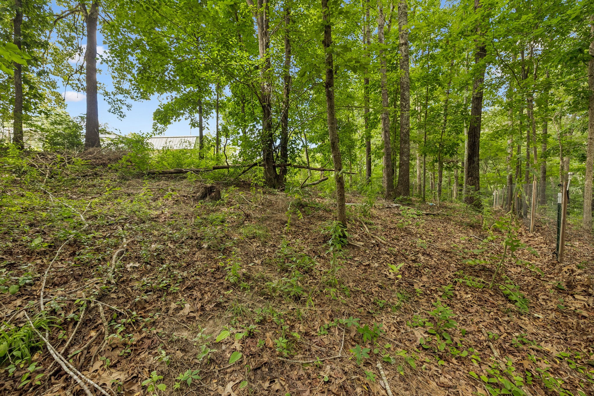 1324 Elliot Road Nunnelly, TN 37137 - Photo 39 of 44