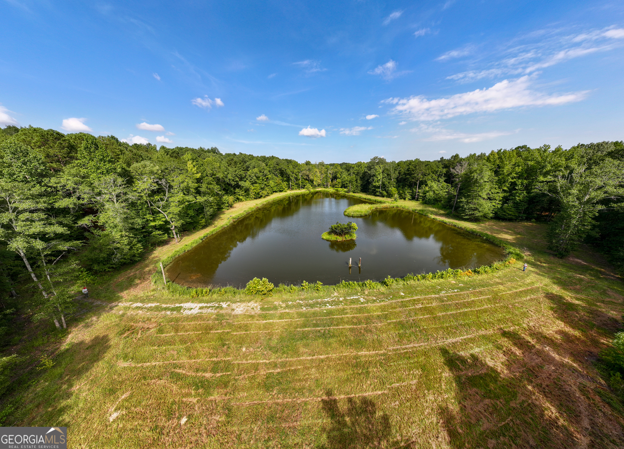 896 Talbotton Highway Butler, GA 31006 - Photo 1 of 47