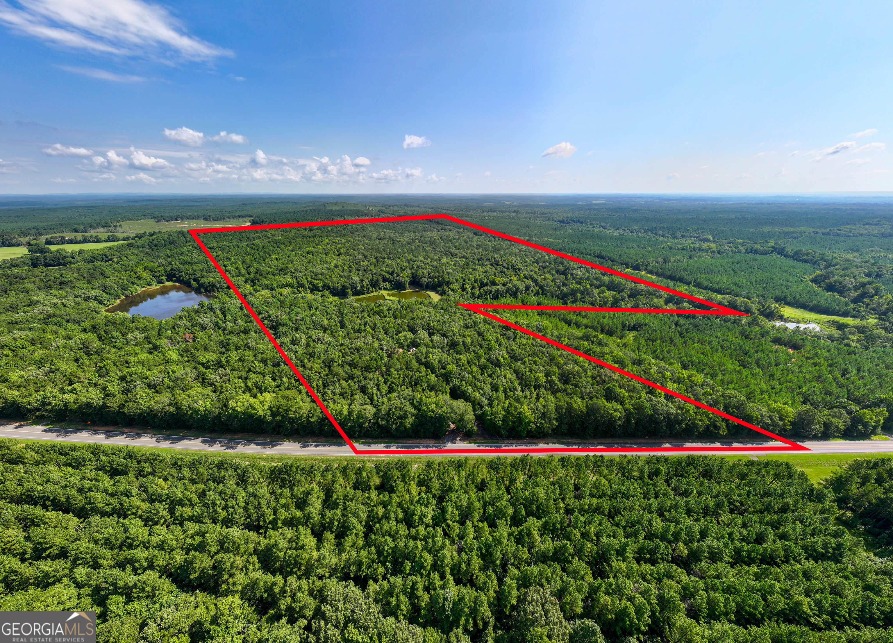 896 Talbotton Highway Butler, GA 31006 - Photo 11 of 47