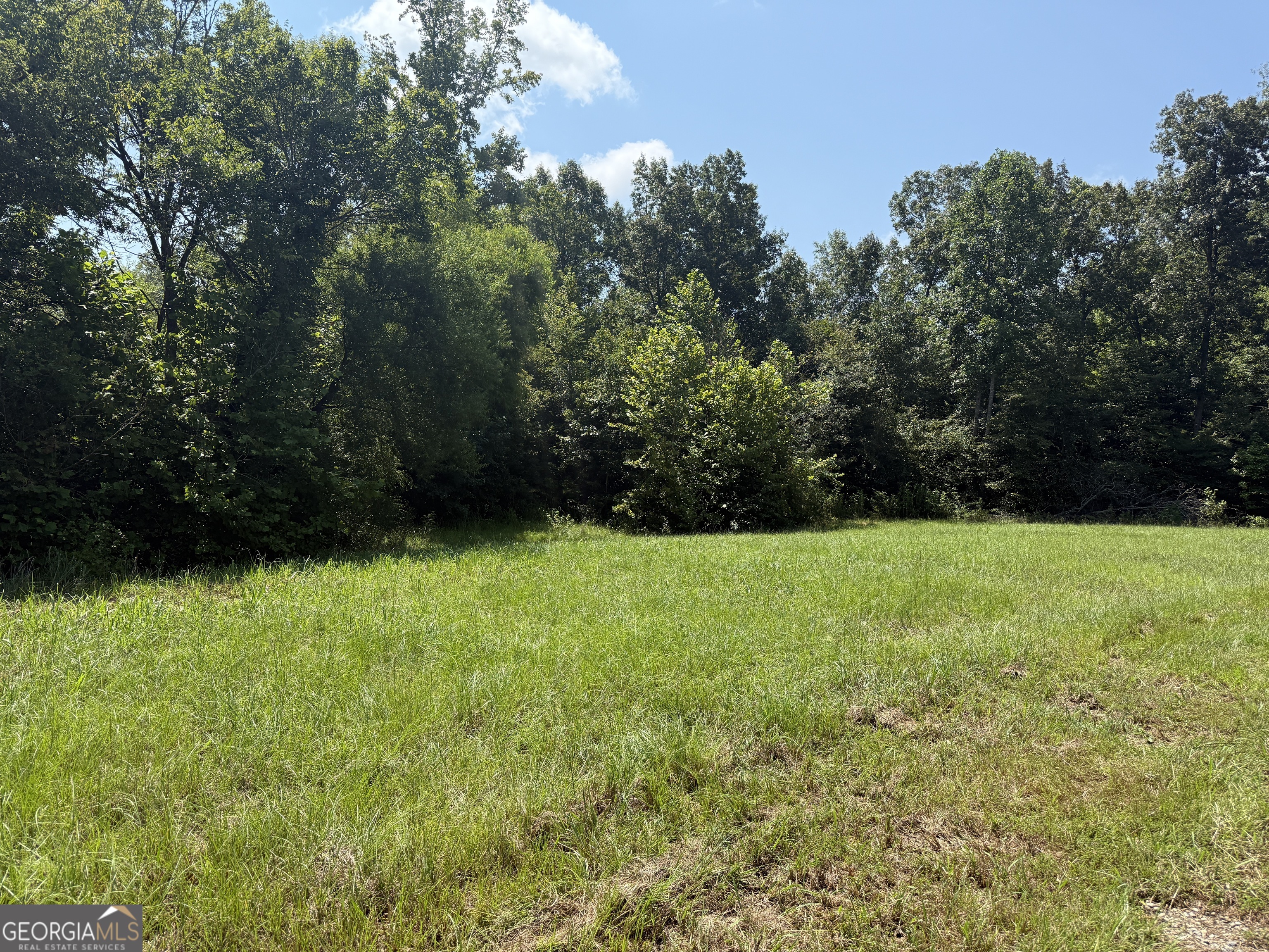 896 Talbotton Highway Butler, GA 31006 - Photo 13 of 47