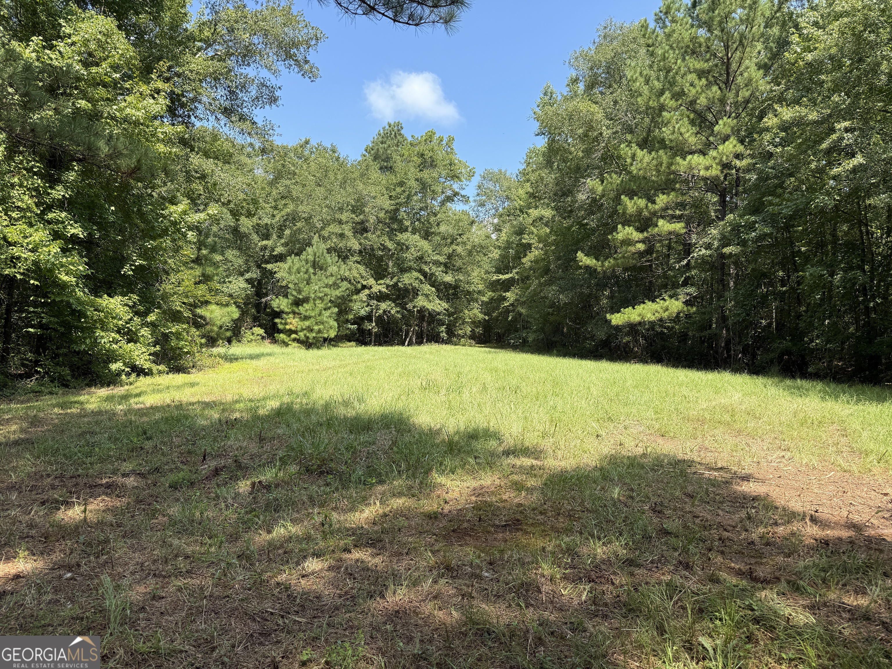 896 Talbotton Highway Butler, GA 31006 - Photo 15 of 47