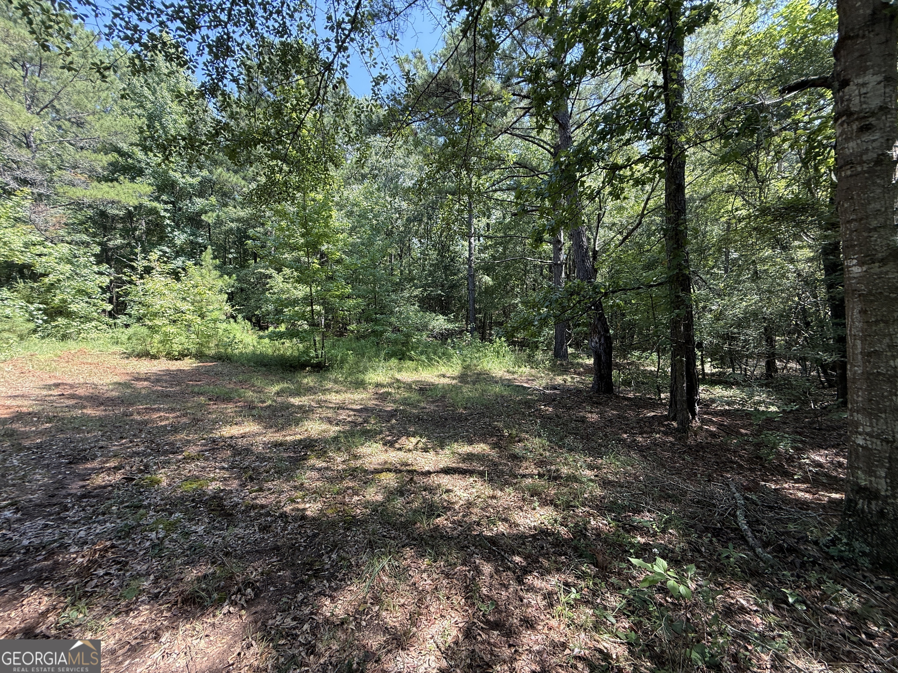 896 Talbotton Highway Butler, GA 31006 - Photo 16 of 47