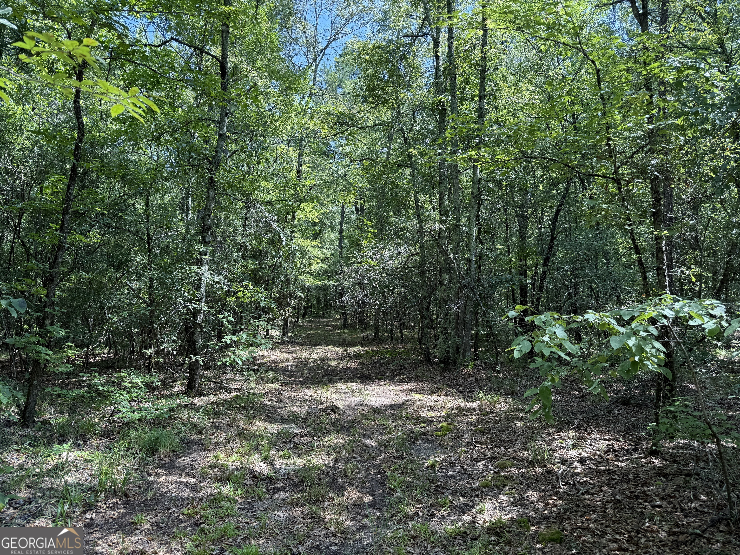 896 Talbotton Highway Butler, GA 31006 - Photo 17 of 47