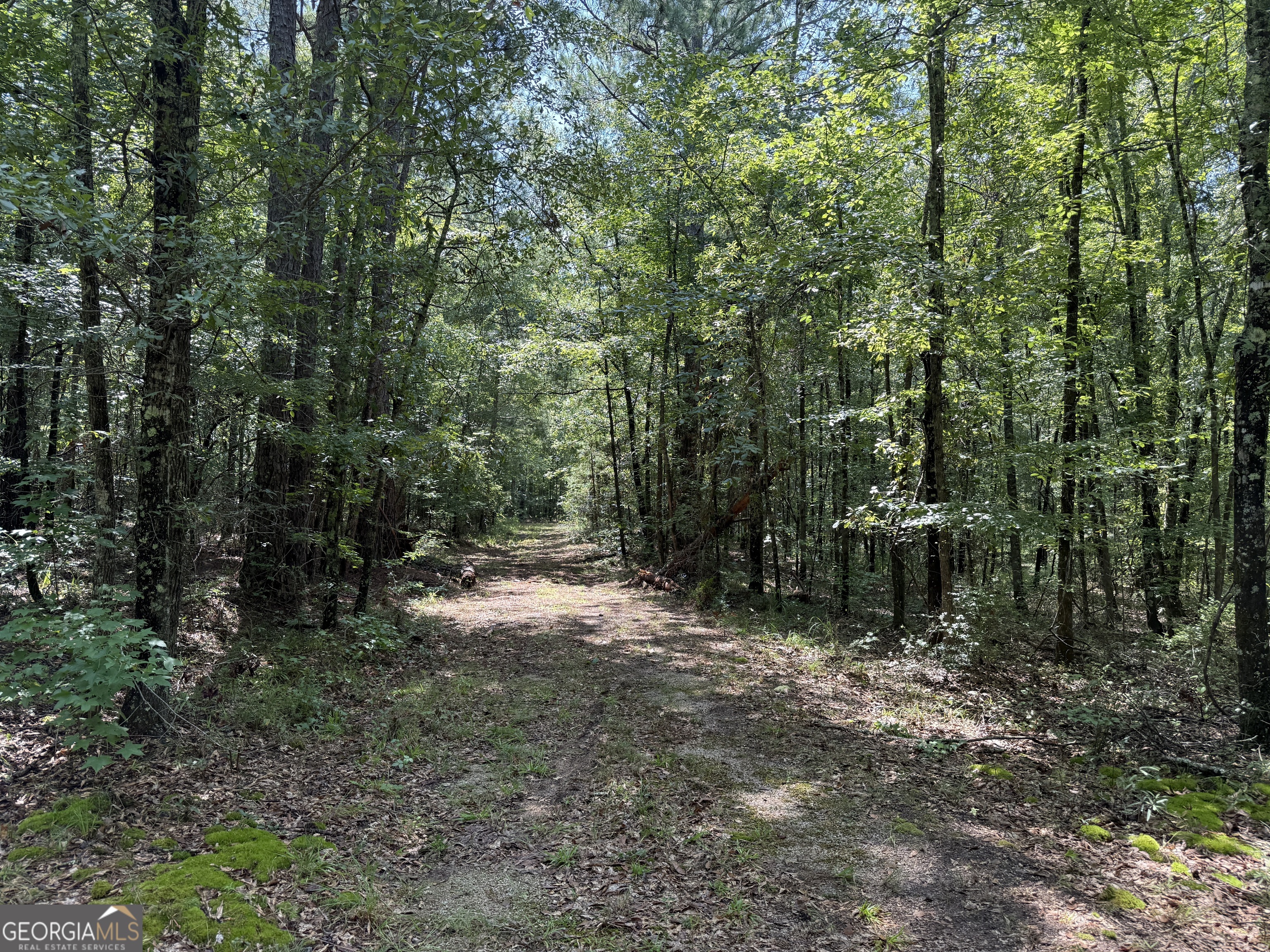 896 Talbotton Highway Butler, GA 31006 - Photo 18 of 47