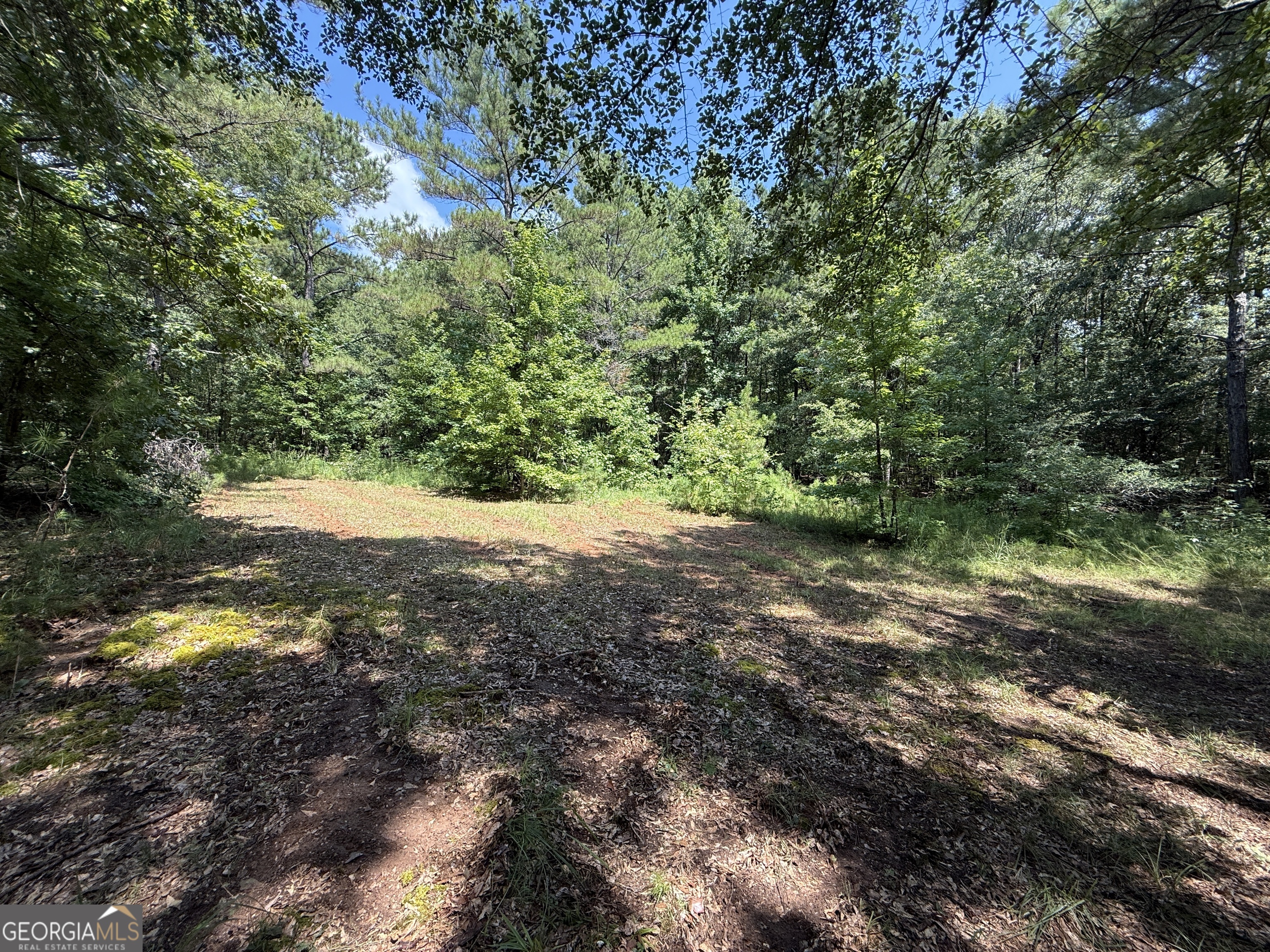 896 Talbotton Highway Butler, GA 31006 - Photo 19 of 47