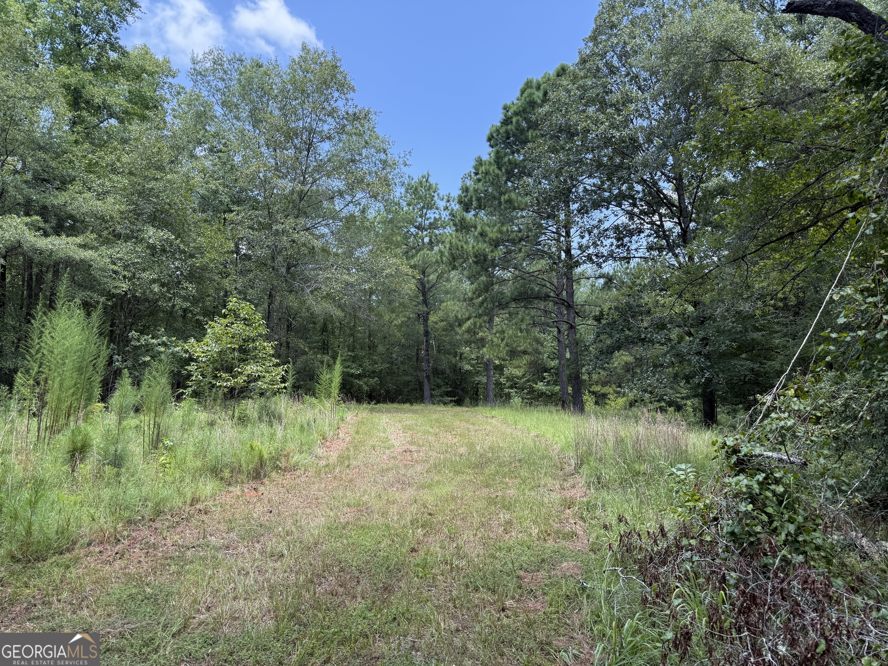 896 Talbotton Highway Butler, GA 31006 - Photo 20 of 47