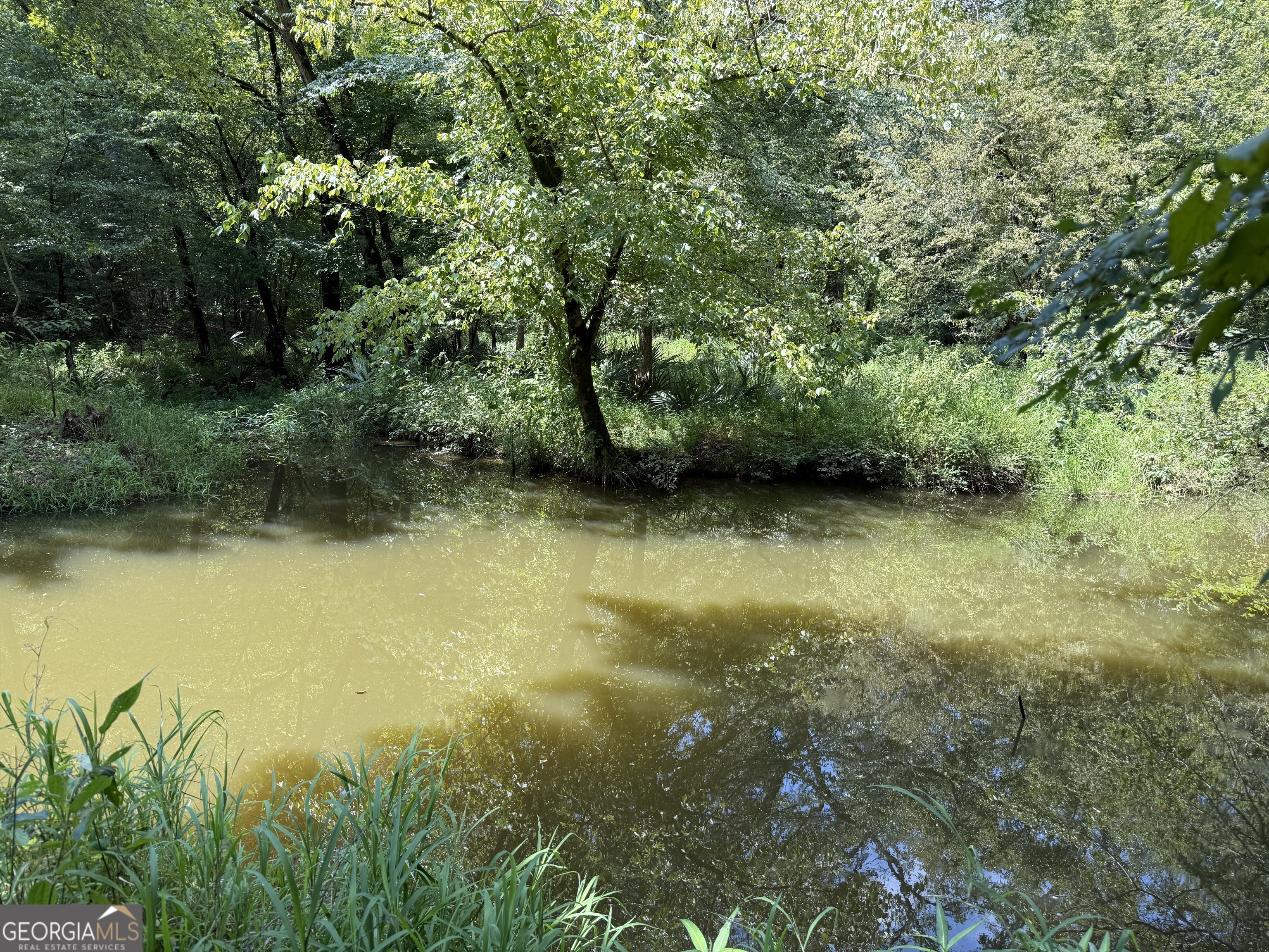 896 Talbotton Highway Butler, GA 31006 - Photo 21 of 47